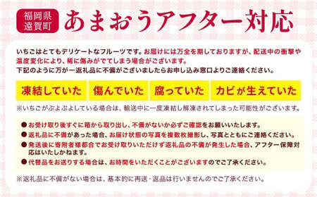 【アフター対応】 あまおう 約280g×6パック （計約1.68kg） 【2026年4月上旬～4月下旬発送予定】 苺 いちご イチゴ 果物 果実 フルーツ 九州 福岡県 遠賀町 冷蔵