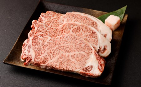 博多和牛 サーロイン ステーキ 200g×4枚 計800g ブランド牛 お肉