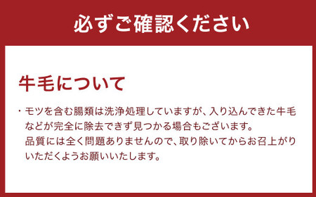 国産黒毛和牛もつ鍋 6人前 合計600g 冷凍ちゃんぽん・濃縮スープ付＆夕焼け明太子 500g×1パック 鍋 モツ 醤油味