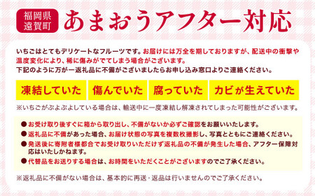 アフター対応】【2023年12月上旬より順次発送】あまおう 約280g×6