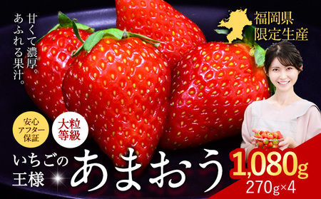 ★2025年出荷分★【先行予約】いちご あまおう1080g (約270g×4パック) 苺  【着日指定不可】《3月中旬-4月末頃出荷予定》　|　特産品あまおう いちご