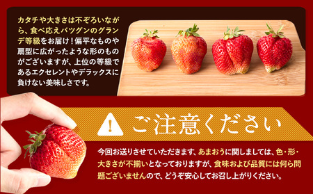 ★2025年出荷分★【先行予約】いちご あまおう1080g (約270g×4パック) 苺  【着日指定不可】《3月中旬-4月末頃出荷予定》　|　特産品あまおう いちご