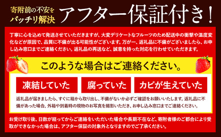 ★2025年出荷分★【先行予約】いちご あまおう1080g (約270g×4パック) 苺  【着日指定不可】《3月中旬-4月末頃出荷予定》　|　特産品あまおう いちご