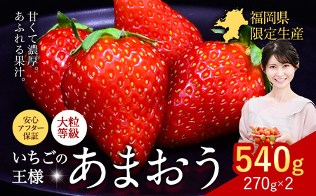 ★2025年出荷分★【先行予約】いちご あまおう 540g (約270g×2パック) 苺  【着日指定不可】《3月中旬-4月末頃出荷予定》 イチゴ 果物 フルーツ 福岡県  