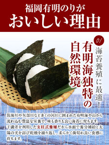 訳あり 海苔 のり 福岡有明のり 簡易包装 福岡産 有明海 全型80枚 40枚×2袋  パリパリ！ 《45日以内に出荷予定(土日祝除く)》