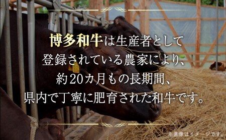 博多和牛切り落とし 1.2kg (600ｇ×2パック)《30日以内に出荷予定(土日祝除く)》 博多和牛 株式会社MEAT PLUS 牛肉 牛肩 バラ A4ランク 以上使用 厳選
