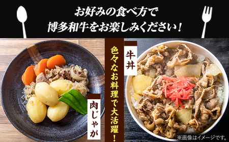 博多和牛切り落とし 1.2kg (600ｇ×2パック)《30日以内に出荷予定(土日祝除く)》 博多和牛 株式会社MEAT PLUS 牛肉 牛肩 バラ A4ランク 以上使用 厳選