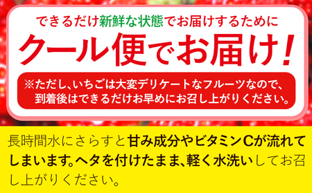 いちご あまおう 先行予約 いちご 大量 540g 選べる発送時期 定期便 フルーツ《2026年1月上旬-1月末頃出荷》苺 旬 くだもの 果物 福岡県 小竹町