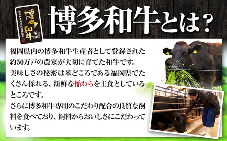 博多和牛 手ごねハンバーグ 10個 久田精肉店株式会社《30日以内に出荷予定(土日祝除く)》小竹町 博多和牛 牛肉 ハンバーグ 弁当 惣菜 冷凍食品 厳選 国産 送料無料