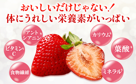 福岡県産 冷凍あまおう 小分けパック 1kg(250g×4袋) 株式会社木村食品《30日以内に出荷予定(土日祝除く)》福岡県 小竹町 冷凍あまおう いちご 冷凍フルーツ 果物 送料無料
