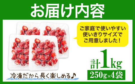 福岡県産 冷凍あまおう 小分けパック 1kg(250g×4袋) 株式会社木村食品《30日以内に出荷予定(土日祝除く)》福岡県 小竹町 冷凍あまおう いちご 冷凍フルーツ 果物 送料無料