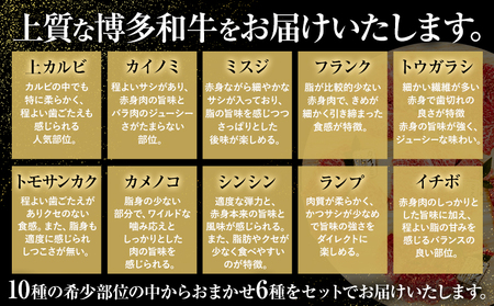 博多和牛 希少部位 おまかせ 6種 セット 株式会社木村食品《30日以内に出荷予定(土日祝除く)》小竹町 博多和牛 牛肉 焼肉用 焼肉 カルビ 上カルビ カイノミ ミスジ フランク トウガラシ トモサンカク カメノコ シンシン ランプ イチボ 和牛 希少