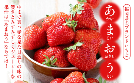 あまおうジェラート 100ml×6個 南国フルーツ株式会社《4月上旬-4月末頃出荷》福岡県 小竹町 あまおう いちご ジェラート 果物 送料無料