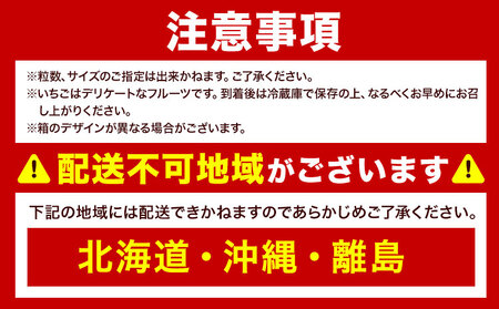 福岡県産 春あまおう 6パック 南国フルーツ株式会社《2月上旬-3月末頃出荷》福岡県 小竹町 あまおう いちご イチゴ 送料無料【配送不可地域あり】
