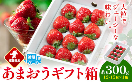 福岡県産 あまおう ギフト箱 約300g 南国フルーツ株式会社《12月上旬-3月末頃出荷》福岡県 小竹町 あまおう いちご イチゴ 送料無料【配送不可地域あり】