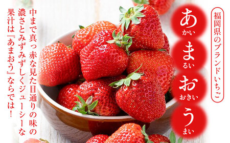 福岡県産 あまおう ギフト箱 約600g 南国フルーツ株式会社《12月上旬-3月末頃出荷》福岡県 小竹町 あまおう いちご イチゴ 送料無料【配送不可地域あり】