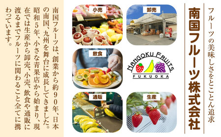 福岡県産 あまおう ギフト箱 約600g 南国フルーツ株式会社《12月上旬-3月末頃出荷》福岡県 小竹町 あまおう いちご イチゴ 送料無料【配送不可地域あり】