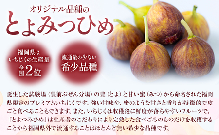 いちじく 無花果 とよみつひめ 約1.2kg 約300g × 4パック 南国フルーツ株式会社【26年度出荷】《8月上旬から10月中旬頃出荷》福岡県 小竹町 福岡県産 いちじく フルーツ 果物