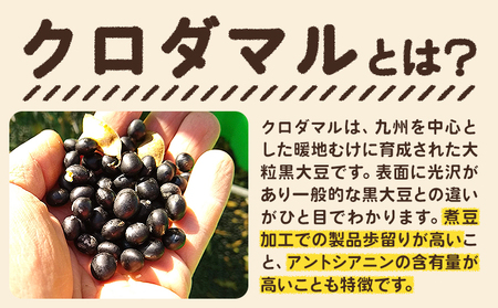 特産 福岡県のクロダマル(黒豆)で作った黒豆きな粉 300g×5袋 株式会社コモリファーム《30日以内に出荷予定(土日祝除く)》