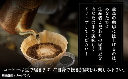 竹炭焙煎 こたけ珈琲 200g×2袋 コーヒー 株式会社コモリファーム《30日以内に出荷予定(土日祝除く)》