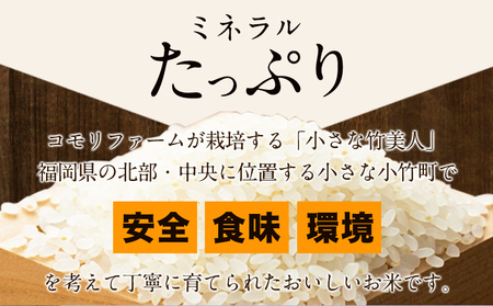 【6か月定期便】令和6年産 小さな竹美人 玄米 2kg(2kg×1袋) 米 玄米 株式会社コモリファーム《お申込み月の翌月から出荷開始》