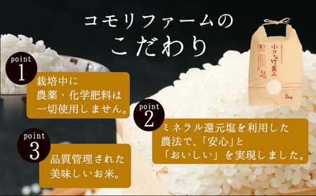 【6か月定期便】令和6年産 小さな竹美人 玄米 2kg(2kg×1袋) 米 玄米 株式会社コモリファーム《お申込み月の翌月から出荷開始》