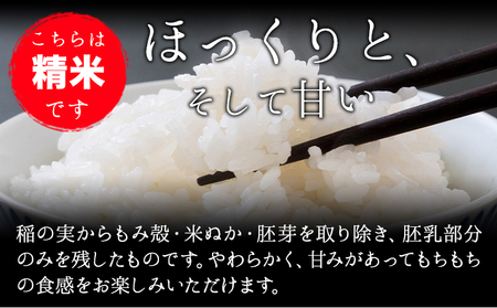 【6か月定期便】令和6年産 小さな竹美人 玄米 2kg(2kg×1袋) 米 玄米 株式会社コモリファーム《お申込み月の翌月から出荷開始》