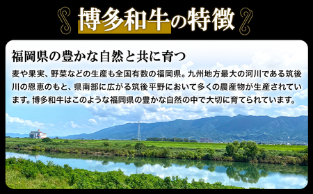 A4ランク 博多和牛 焼肉用 肩ロース肉 3パック(計約400g) 《30日以内に出荷予定(土日祝除く)》博多和牛  株式会社吉浦コーポレーション