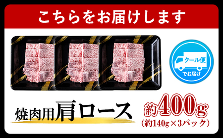A4ランク 博多和牛 焼肉用 肩ロース肉 3パック(計約400g) 《30日以内に出荷予定(土日祝除く)》博多和牛  株式会社吉浦コーポレーション