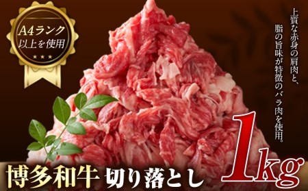 博多和牛切り落とし 1000g (500ｇ×2パック)《30日以内に出荷予定(土日祝除く)》 博多和牛 株式会社MEAT PLUS 牛肉 牛肩 バラ A4ランク 以上使用 厳選