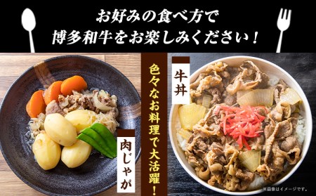 博多和牛切り落とし 1000g (500ｇ×2パック)《30日以内に出荷予定(土日祝除く)》 博多和牛 株式会社MEAT PLUS 牛肉 牛肩 バラ A4ランク 以上使用 厳選