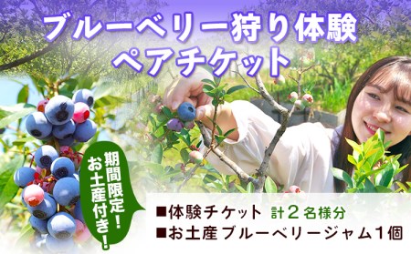 ブルーベリー狩り体験 ペアチケット (大人2名様) お土産付き 期間限定 山の里自然農園《3-14営業日以内に出荷予定(土日祝除く)》 体験型返礼品