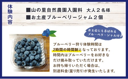 ブルーベリー狩り体験 ペアチケット (大人2名様) お土産付き 期間限定 山の里自然農園《3-14営業日以内に出荷予定(土日祝除く)》 体験型返礼品