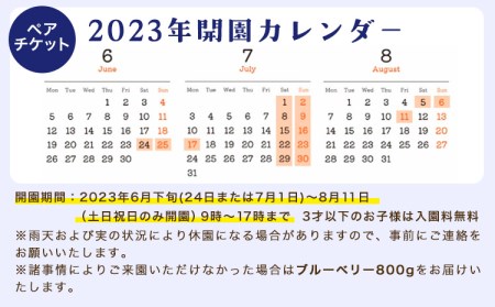 ブルーベリー狩り体験 ペアチケット (大人2名様) お土産付き 期間限定 山の里自然農園《3-14営業日以内に出荷予定(土日祝除く)》 体験型返礼品