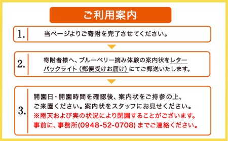 ブルーベリー狩り体験 ペアチケット (大人2名様) お土産付き 期間限定 山の里自然農園《3-14営業日以内に出荷予定(土日祝除く)》 体験型返礼品