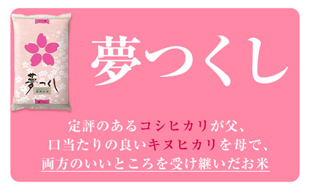 令和4年産 福岡県産 夢つくし 無洗米 10kg 5kg×2袋 株式会社オカベイ