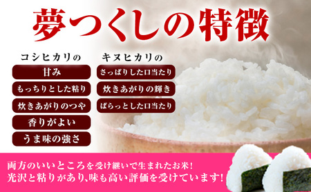 令和4年産 福岡県産 夢つくし 無洗米 10kg 5kg×2袋 株式会社オカベイ