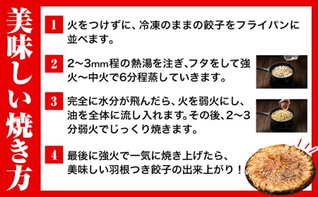 ひとくち博多鶏餃子 180個(45個×4袋)《30日以内に出荷予定(土日祝除く)》はかた一番どり 鶏肉 餃子