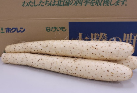 北海道十勝産ながいも 4本セット【B70】