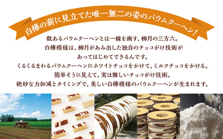 「柳月」三方六の小割 5個入×3セット(合計15個)【B78】 お菓子 バウムクーヘン