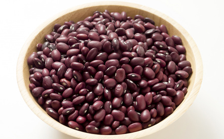 【令和7年産】 金時豆10kg「JAおとふけ」【D43】 