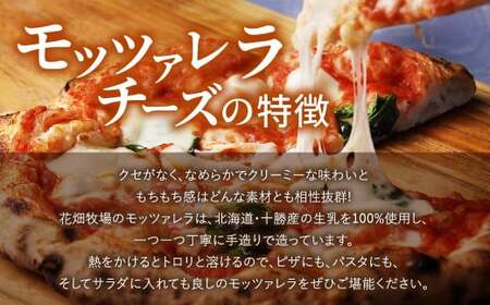 【3回定期便】花畑牧場 フレッシュチーズ2種セット（メダルモッツァレラ 約500g＋モッツァレラひとくちタイプ 約500g）【D51】 モッツァレラチーズ 北海道産