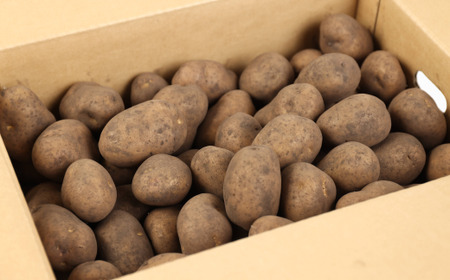 ［先行受付］おとふけ産じゃがいも「インカのめざめ」10kg（Mサイズ）【A36】2025年11月下旬頃より順次発送予定