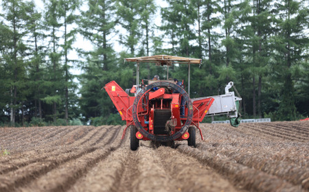 ［先行受付］おとふけ産じゃがいも「インカのめざめ」10kg（Mサイズ）【A36】2025年11月下旬頃より順次発送予定