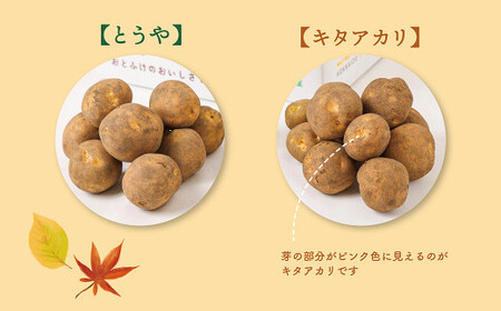 【先行受付】北海道おとふけ産 人気のじゃがいも 2種セット「キタアカリ・とうや」合計9kg 【B73】2025年10月中旬頃より発送予定
