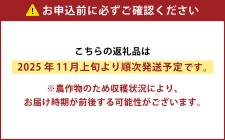 ［先行受付］おとふけ産マンゴー「白銀の太陽」Lサイズ×1玉【C63】《2025年11月上旬より発送開始予定》