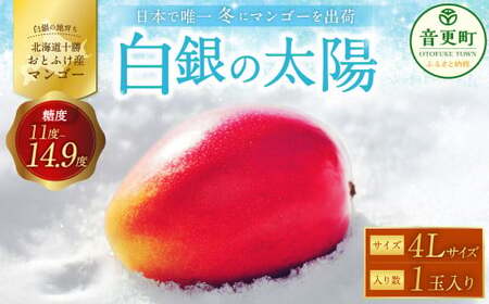 ［先行受付］おとふけ産マンゴー「白銀の太陽」4Lサイズ×1玉【D24】《2026年11月上旬より発送開始予定》