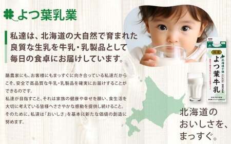 「よつ葉」北海道十勝 3種のチーズ《濃厚コク旨ブレンド》130g×2袋【B138】