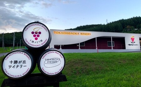 ワイン オトプケ浪漫山幸2024 750ml×1本 【A130】