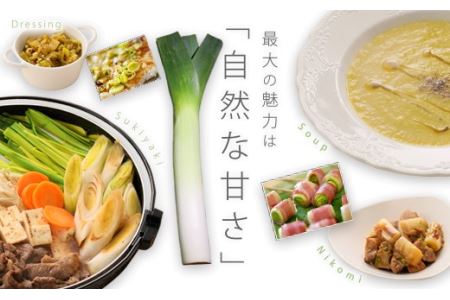 〔先行受付〕「たけなかファーム」とかちポワロー（リーキ、ポロネギ）【A50】《2025年11月上旬より順次発送》